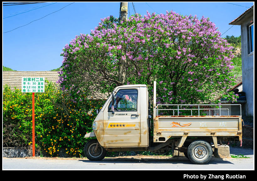 Building ties to the world through pictures