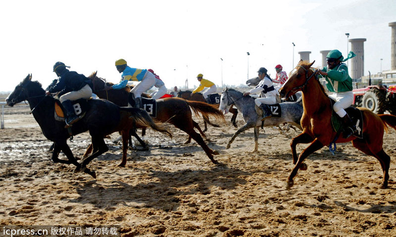 Public sports and recreation in Iraq in ten years