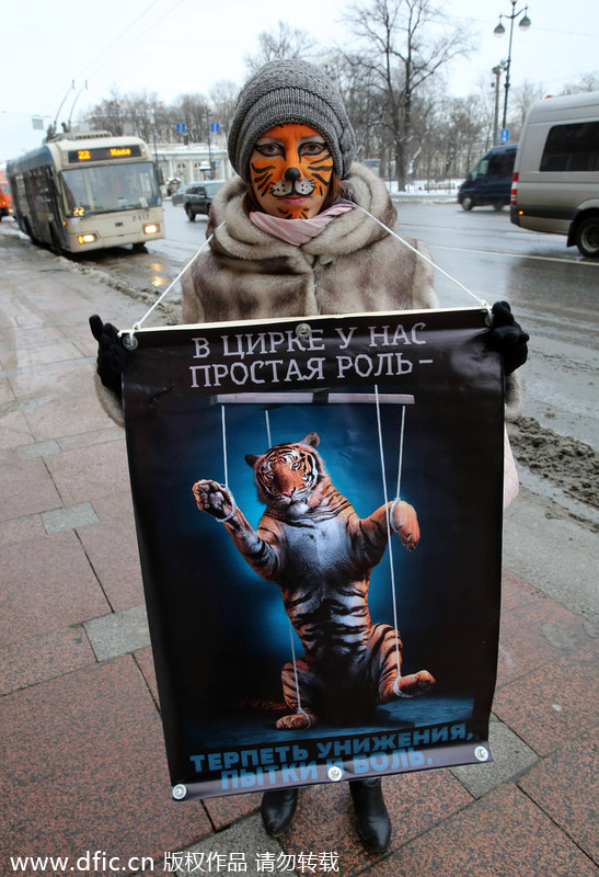 Protest agaist animal abuse in St Petersburg