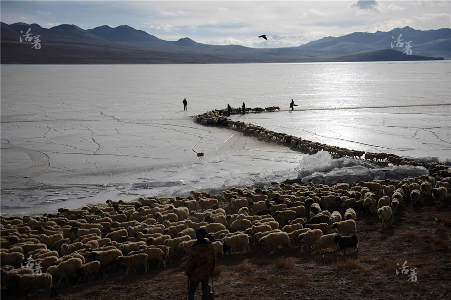 Life in Tibet's rooftop village
