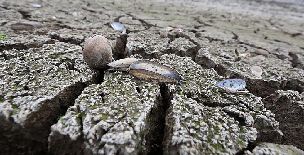 Thailand experiences rare drought