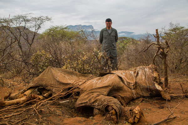 Yao in Africa in anti-poaching campaign