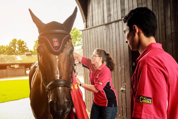 Changing the warring horse