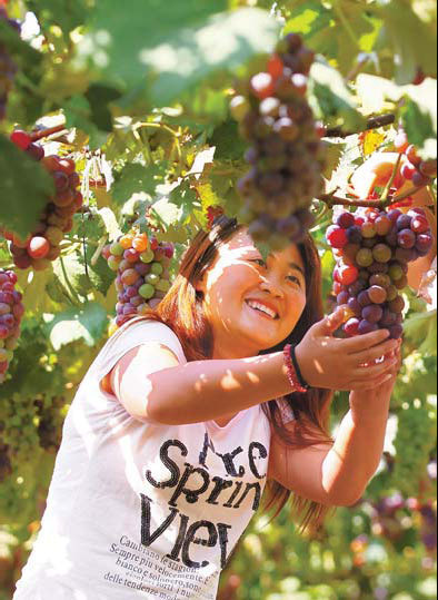 Vineyard offers grape fans a big choice of flavors; banana, honey