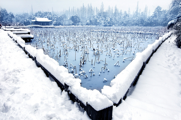 West Lake under the veil of snow