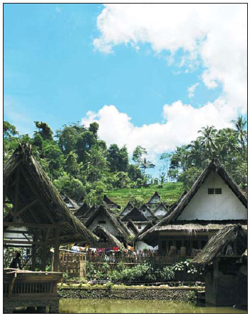 Green hills of Garut