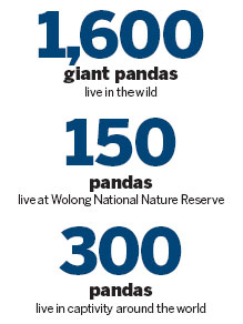 Parting ways with pandas