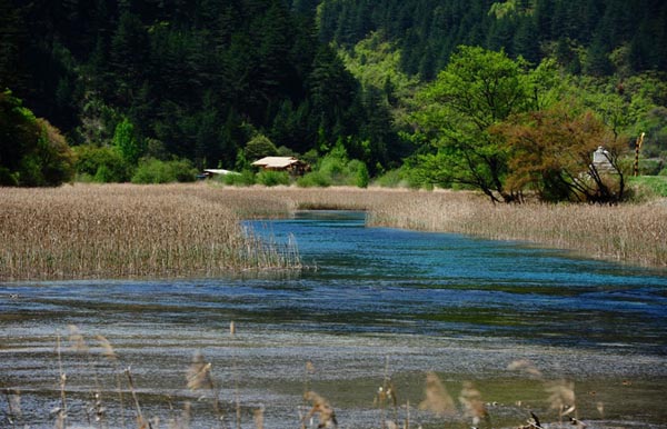 Amazing Jiuzhai Valley