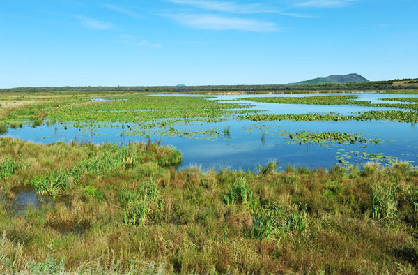 Wudalianchi Geological Park in China's Heilongjiang