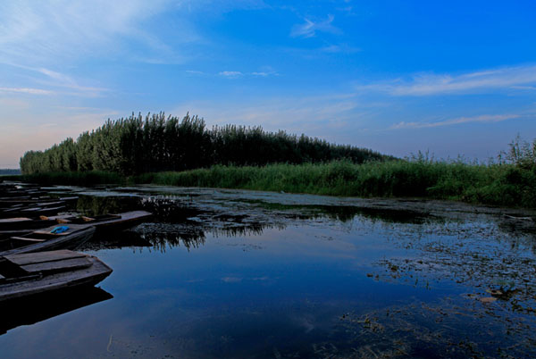 Amazing Baiyangdian Lake in early autumn