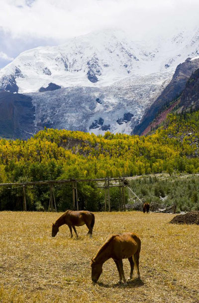 Beautiful Midui Glacier in Bomi county