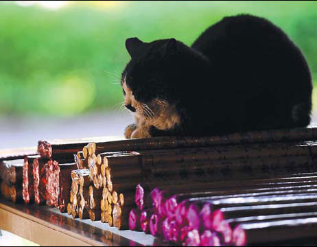 An emerald on the Yangtze