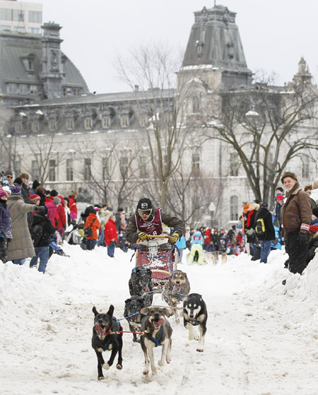 Dog sled race