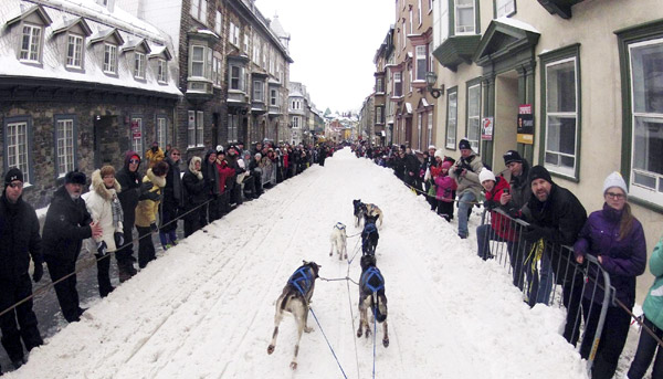 Dog sled race