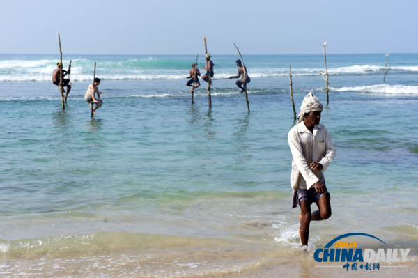 Sri Lanka: Stilt Fishing