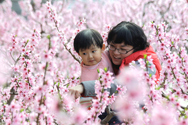 Flowers bloom in Shandong