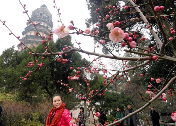 Flowers bloom in Shandong