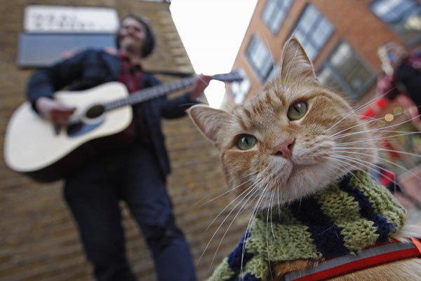 'A Street Cat Named Bob'