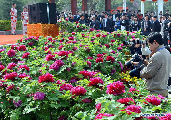 30th Luoyang Peony Festival starts off