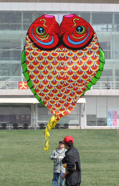 Kites fly high in Weifang