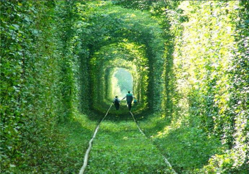 Most fascinating walkways around world