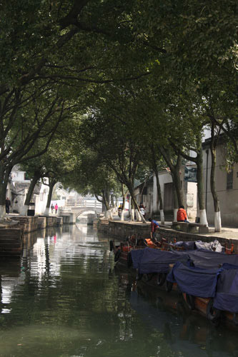 Summer lullaby of southern water towns