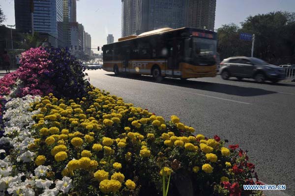 The best season in Urumqi