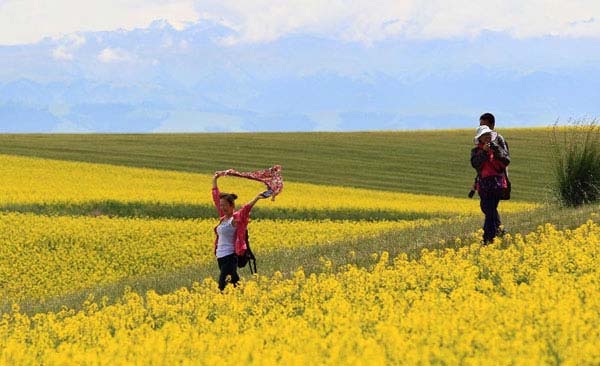 Cole flower attracts tourists in Zhaosu, Xinjiang
