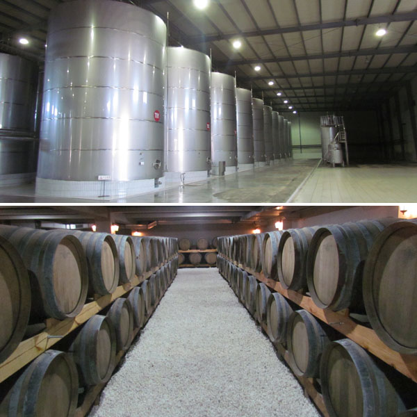 A visit to wineries in Changli