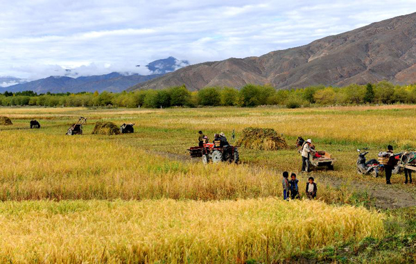 Autumn scenery in Xigaze prefecture, China's Tibet