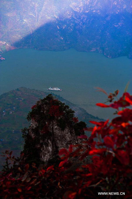 Autumn red leaves in Three Gorges area, C China