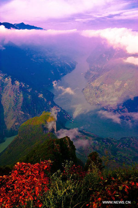 Autumn red leaves in Three Gorges area, C China