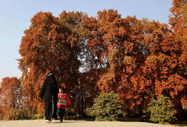 Autumn scenery in Srinagar, Kashmir