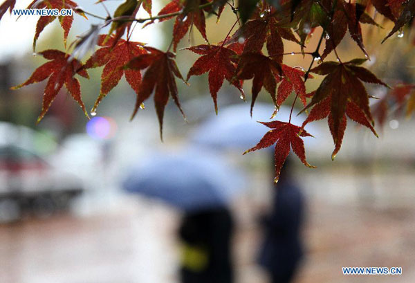 Autumn scenery in Seoul, S Korea