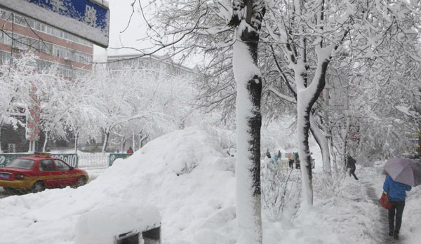 Heavy snowstorms hit NE China's Heilongjiang