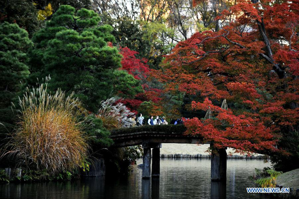 Winter scenery in Rikugi Garden of Tokyo