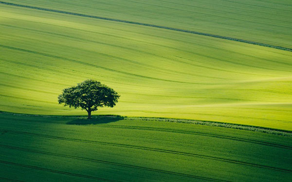 Spectacular photos of 6th 'Landscape Photographer of the Year'