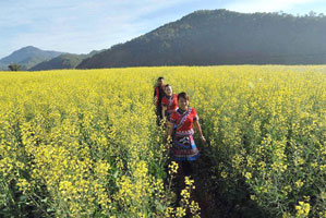 China – ASEAN hold seminar on tourism