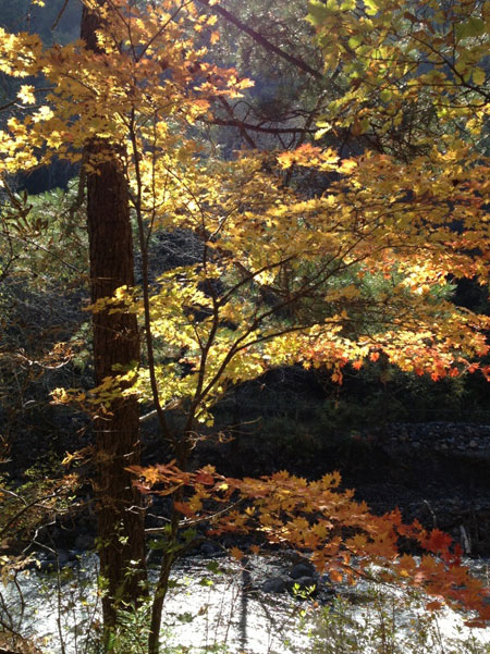 Scenery of Changbai Mountain