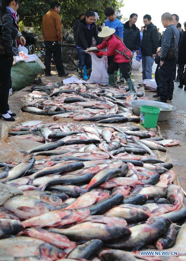 Annual fishing festival held in SW China