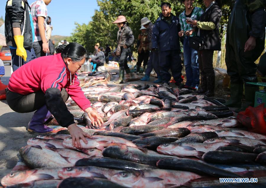 Annual fishing festival held in SW China