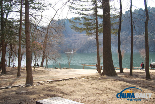 Trip to Nami Island presents tourists with exotic experience