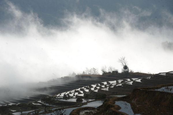 Patchwork beauty of Yunnan terraced fields