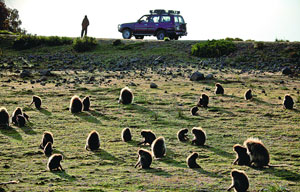 A romantic honeymoon to Xinjiang and Tibet