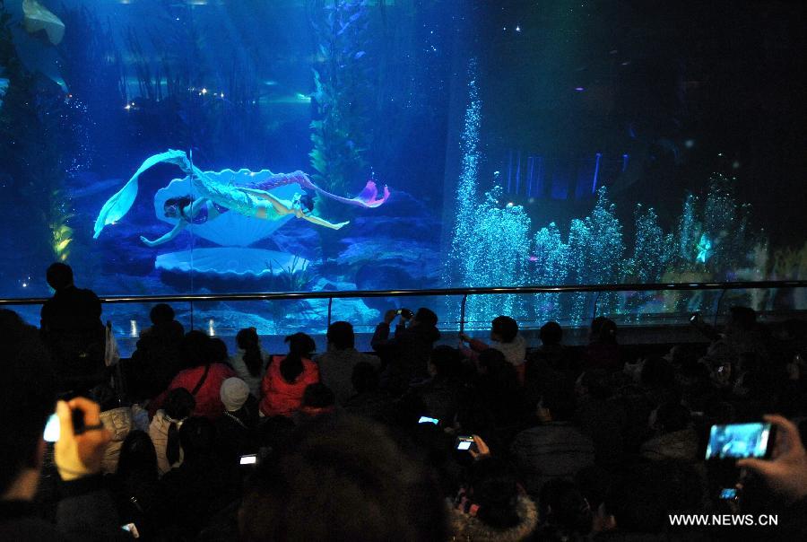 Underwater performance attracts visitors in Qingdao