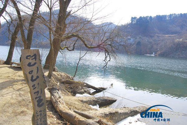 Trip to Nami Island presents tourists with exotic experience