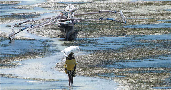 Interlude in Zanzibar