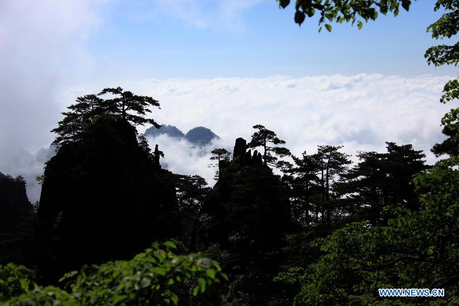 Heavenly setting at Huangshan Mountain