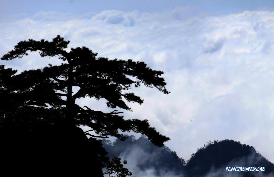 Heavenly setting at Huangshan Mountain