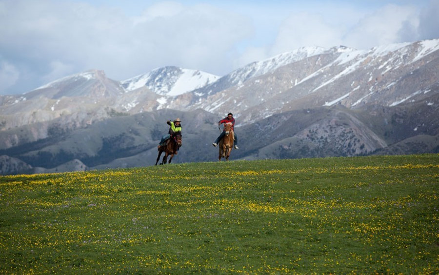 Xinjiang: Another charm